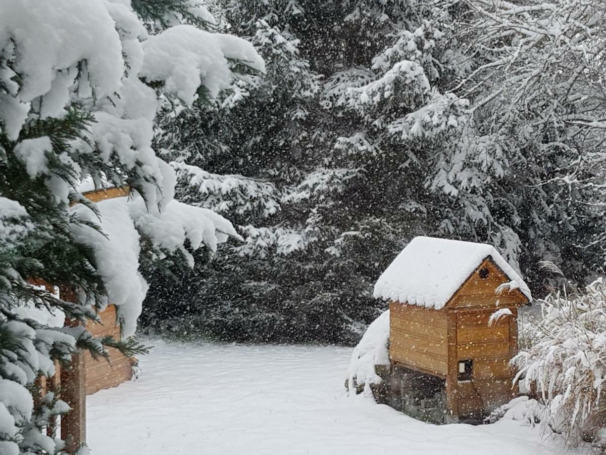 Harzer Auszeit * Hattorf am Harz